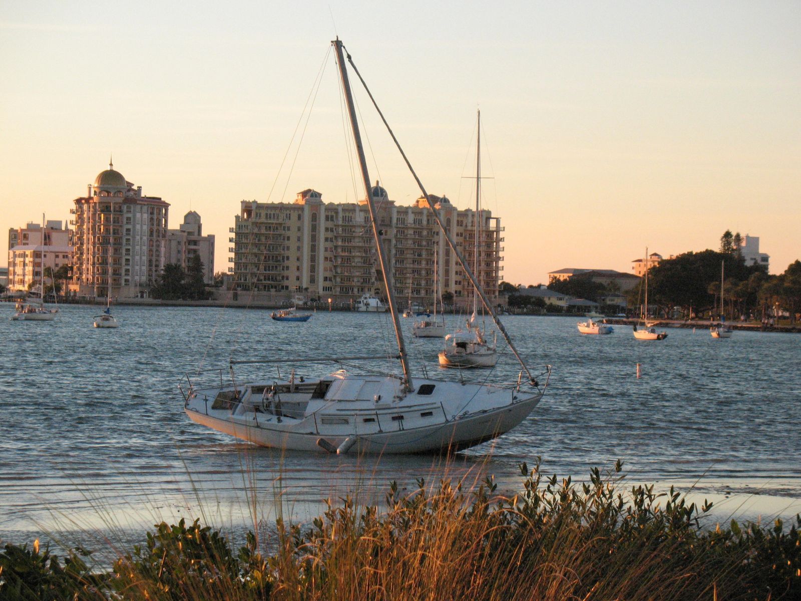 20100120 Grounded sailboat off of Marie Selby Gardens 322.jpg