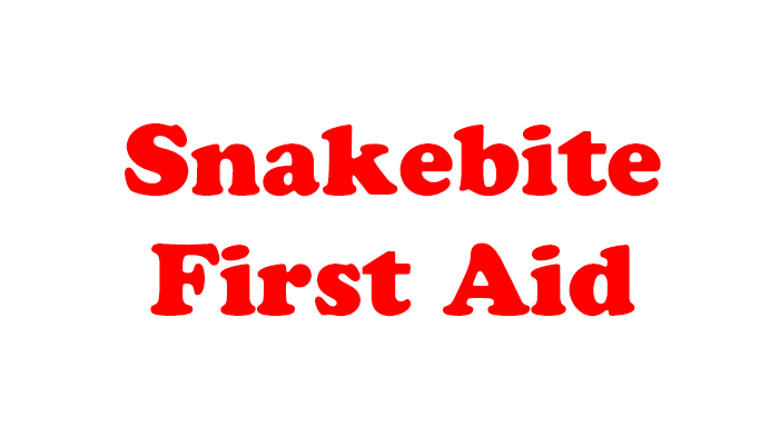 Snakebite1.gif