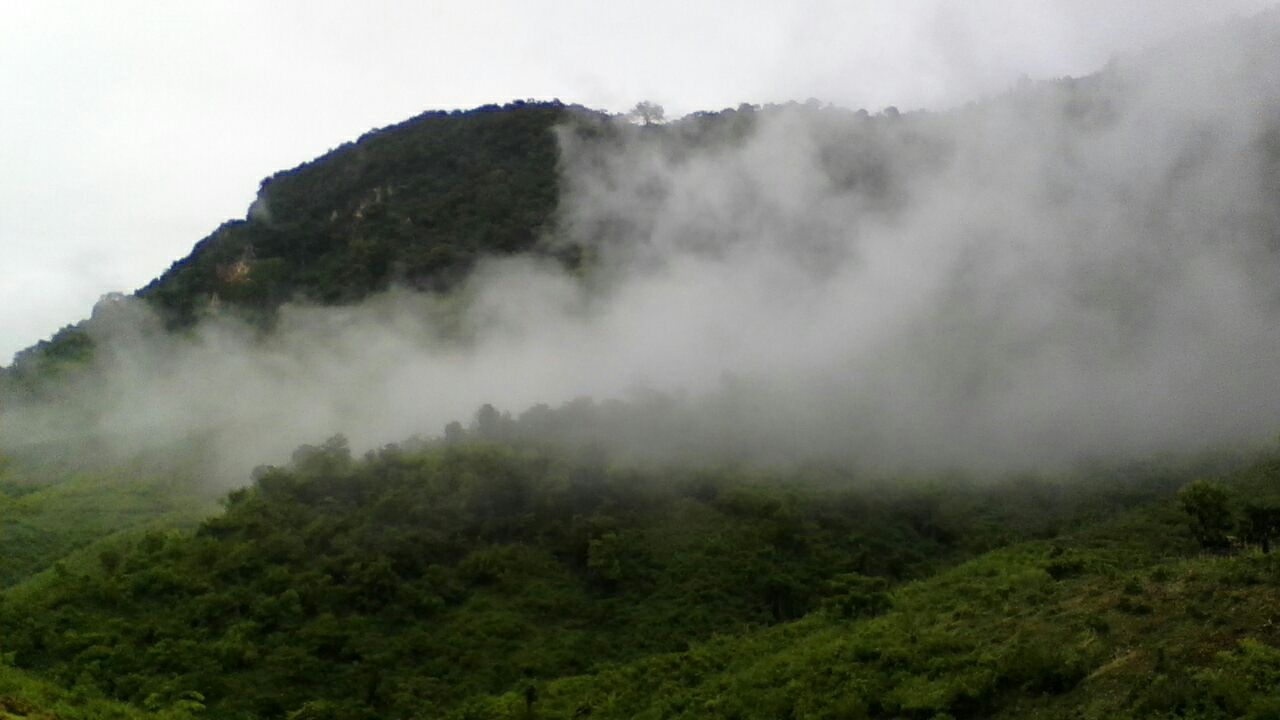 fog070917.JPG