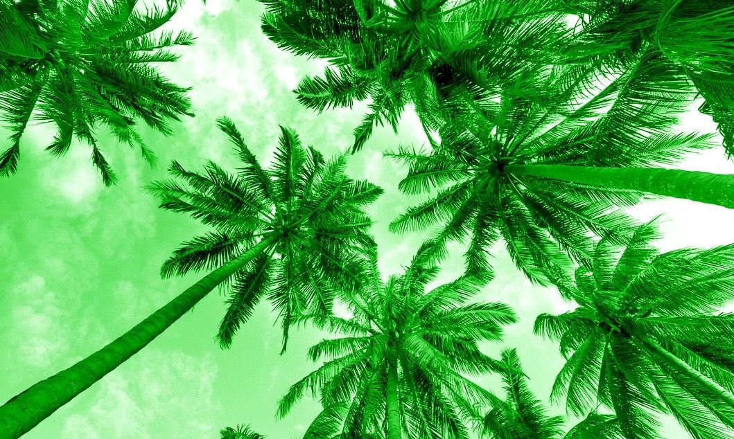 greentint-palms-upward-thumbnail.jpg