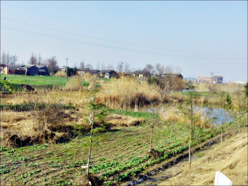 2009_12_18_13.36.05.jpg