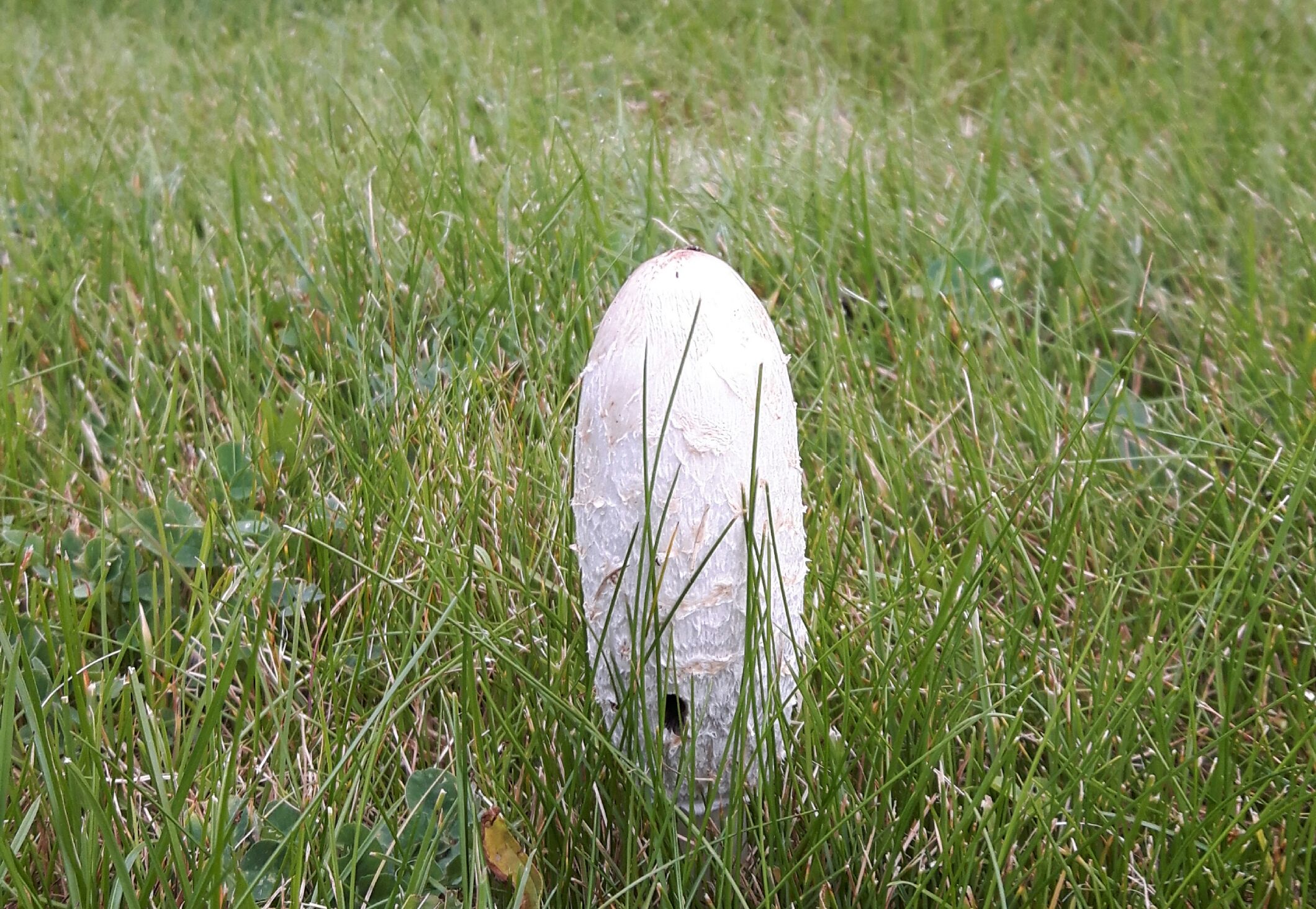 20170926_175919.jpg