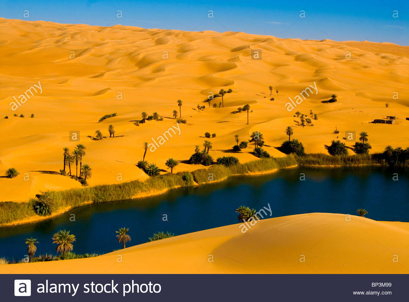 libya-fezzan-desert-erg-ubari-umm-el-maa-lake-BP3M99.jpg