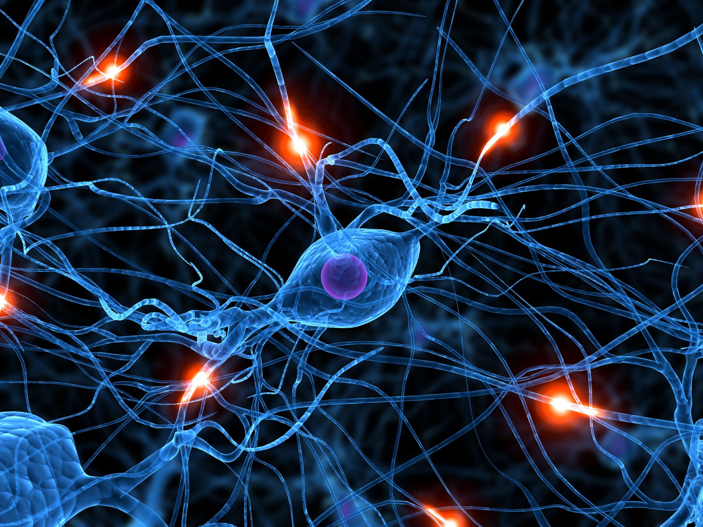 redneuronal1.jpg