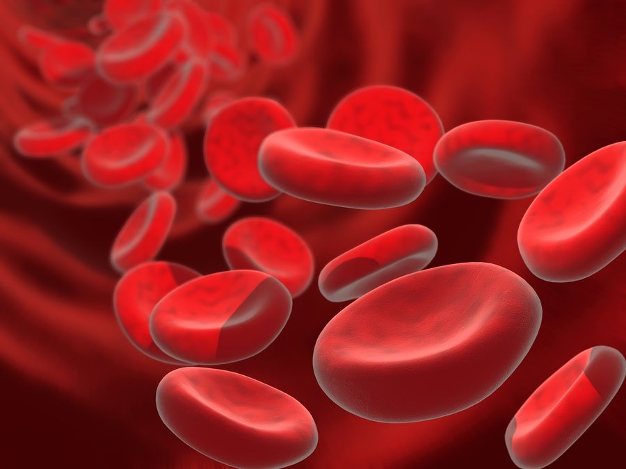 bigstock-Blood-Cells-977601-min.jpg