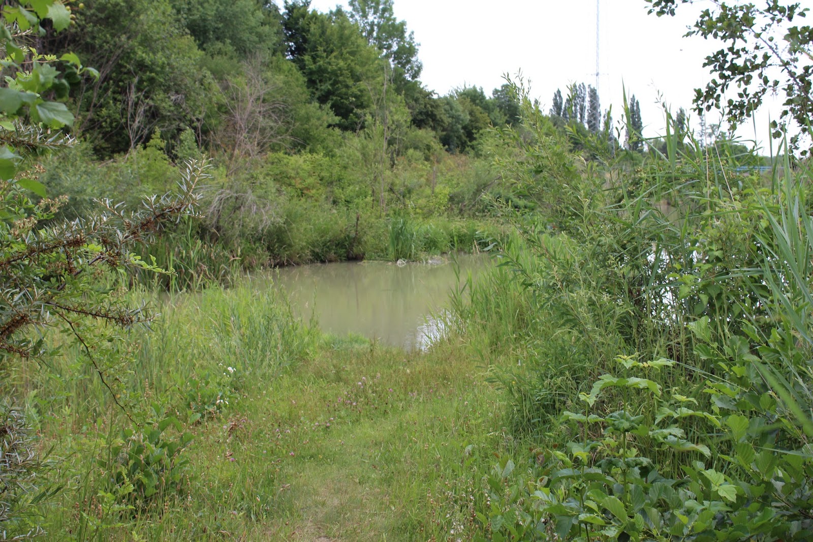 IMG_8405.JPG