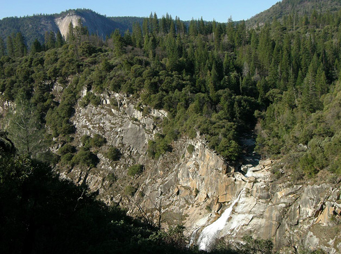 PLUMAS+NATIONAL+FOREST.png