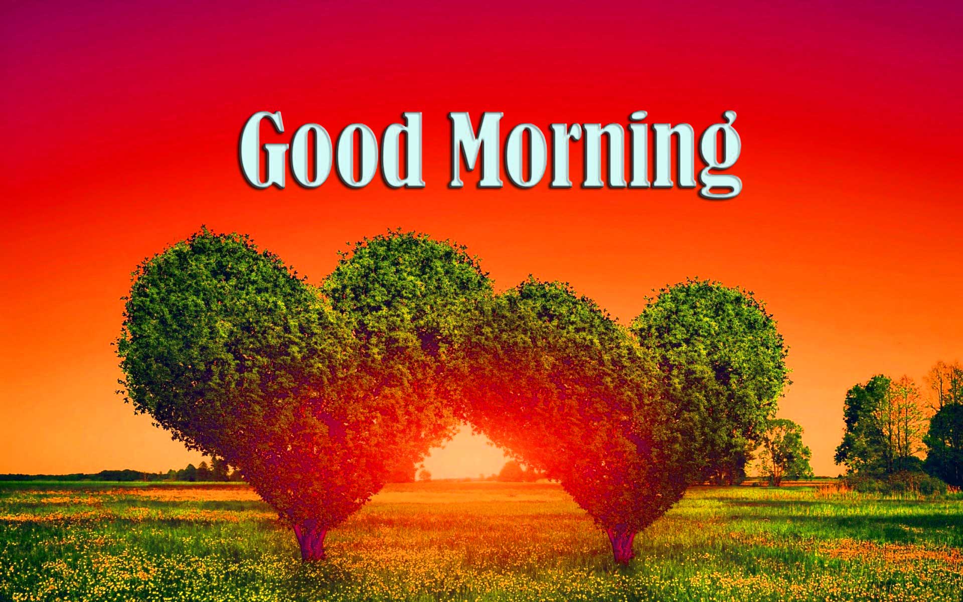 My beautiful morning. Открытки с добрым утром на английском языке. Good morning картинки. Доброе утро любимый на английском языке. Good morning картинки красивые.