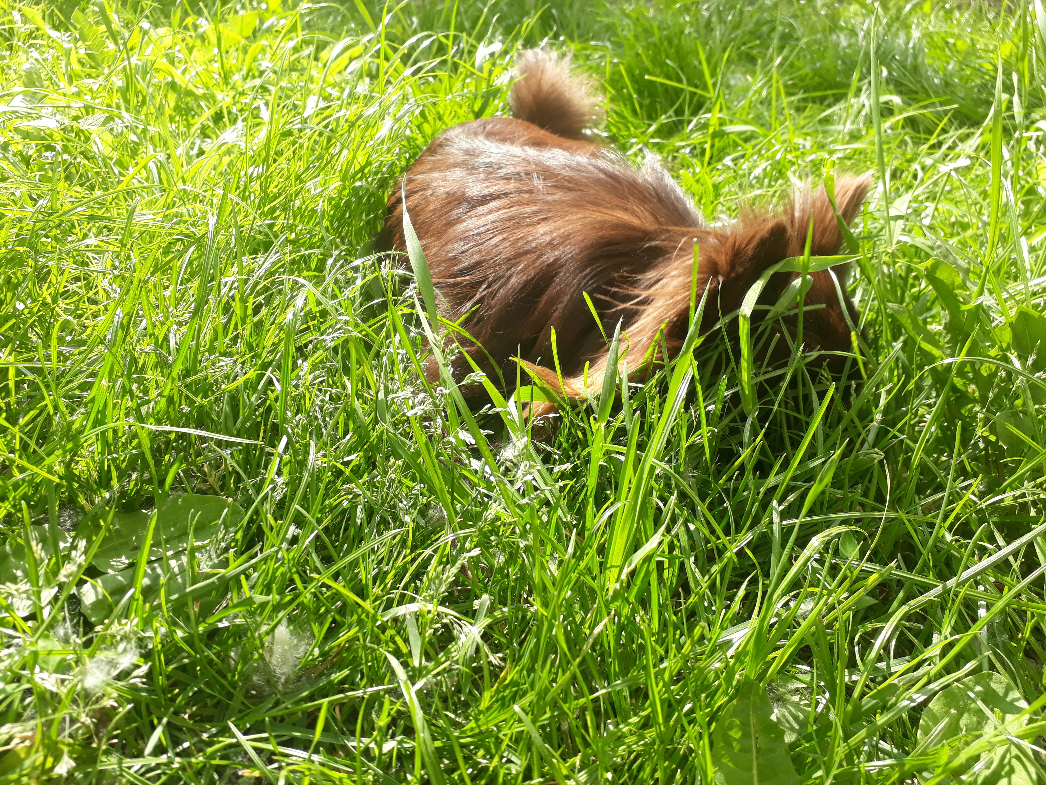 2017-05-16 16.19.49.jpg