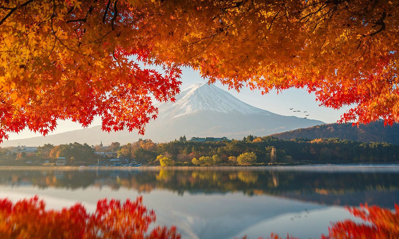 Mount Fuji in autumn sunrise.jpg
