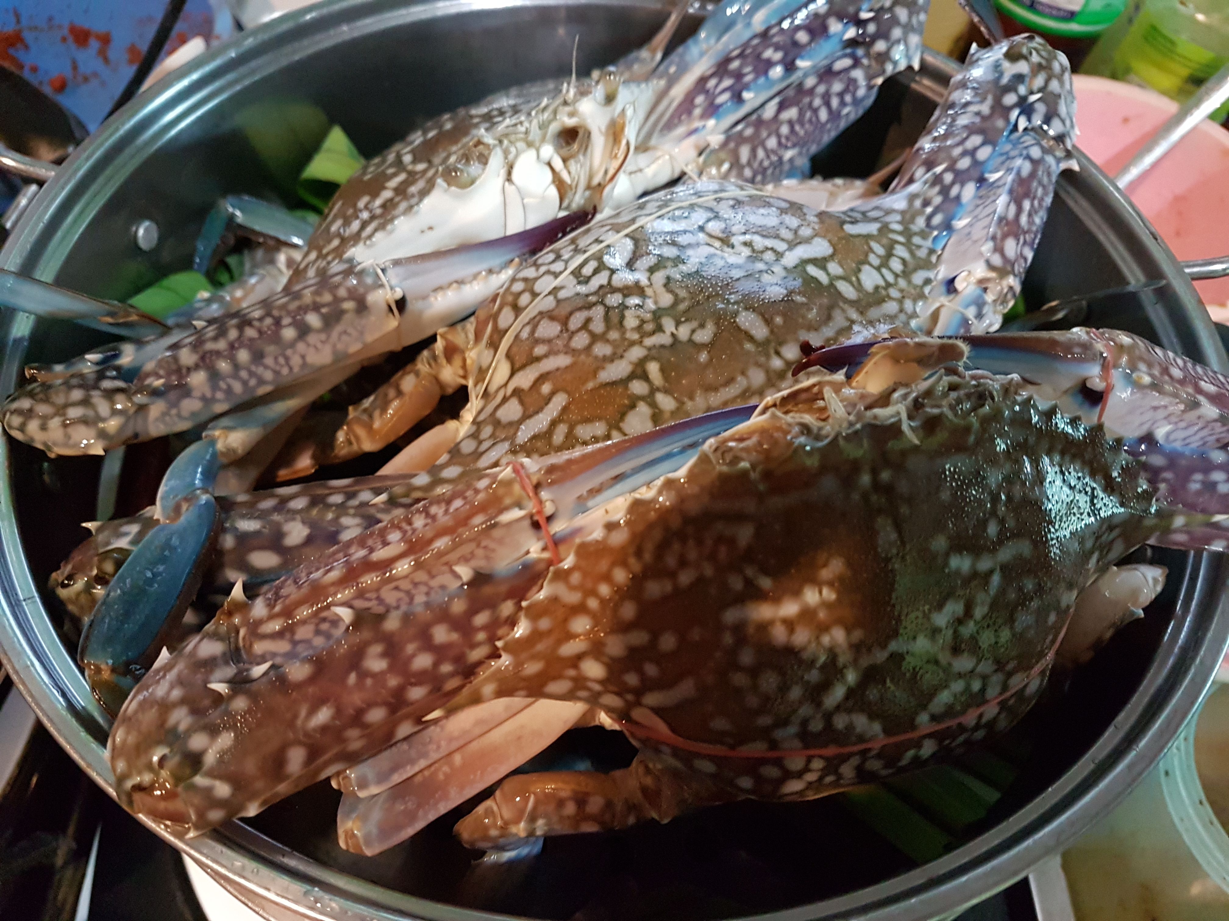 20171109_103839.jpg