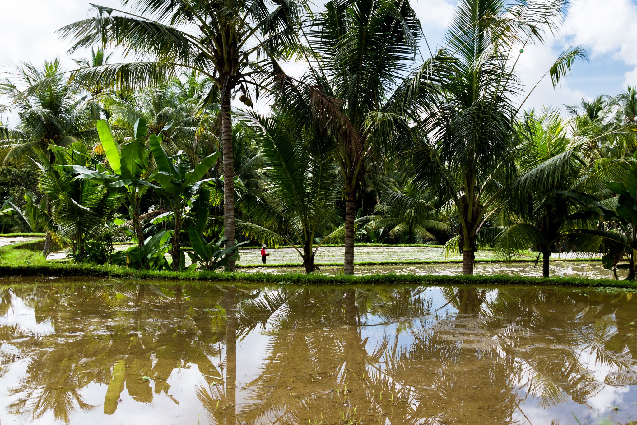 UBUD (2 of 15).jpg