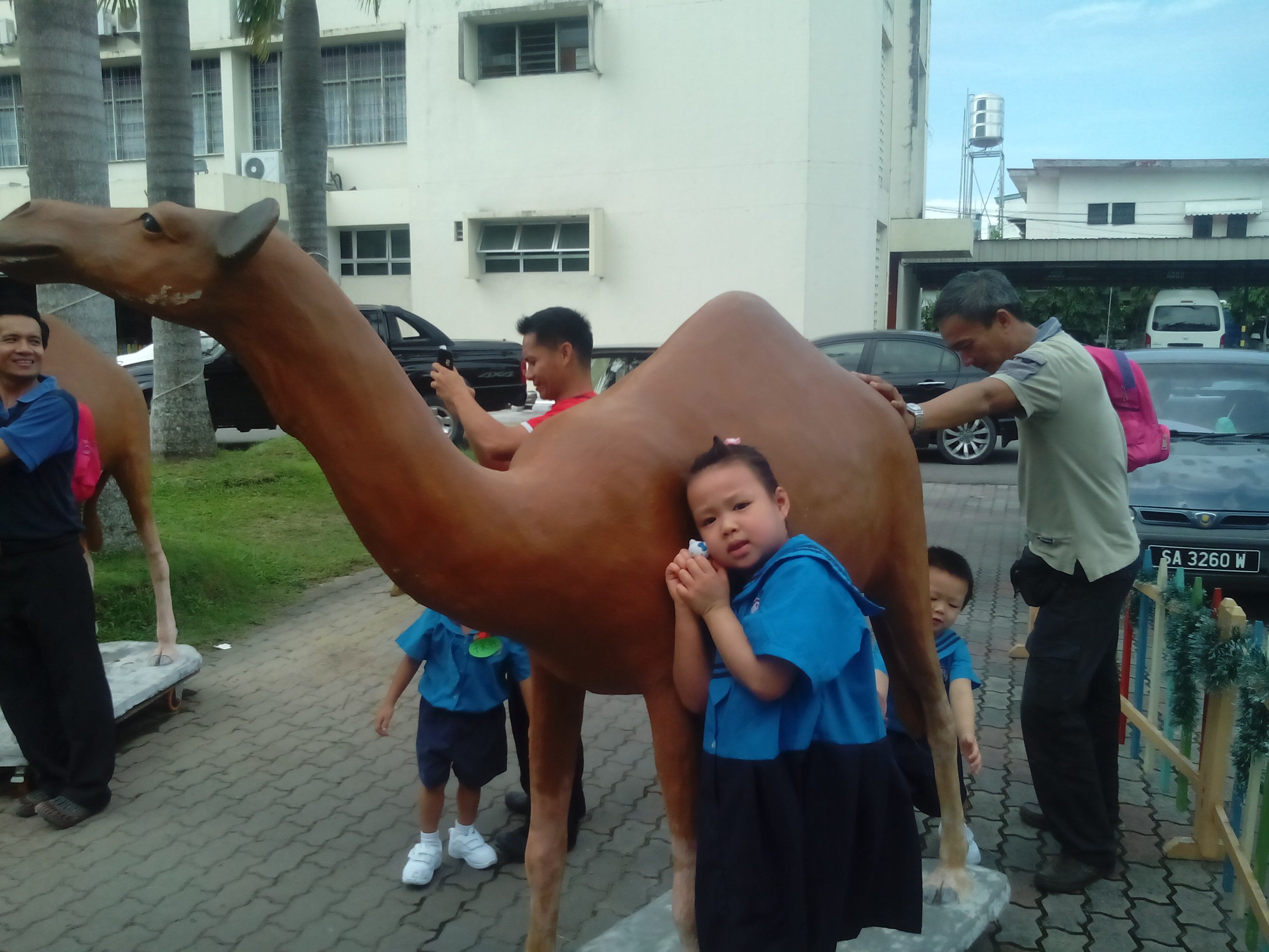 IMG_20140102_105305.jpg