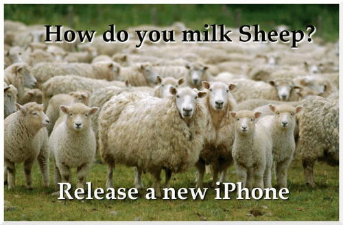 how-do-vou-milk-sheep-release-a-new-iphone-27049177.png