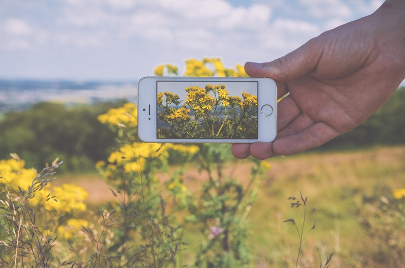 hand-apple-camera-field.jpg