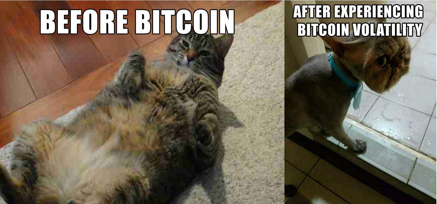 Meme challenge 44 - Entry #1 — Steemit