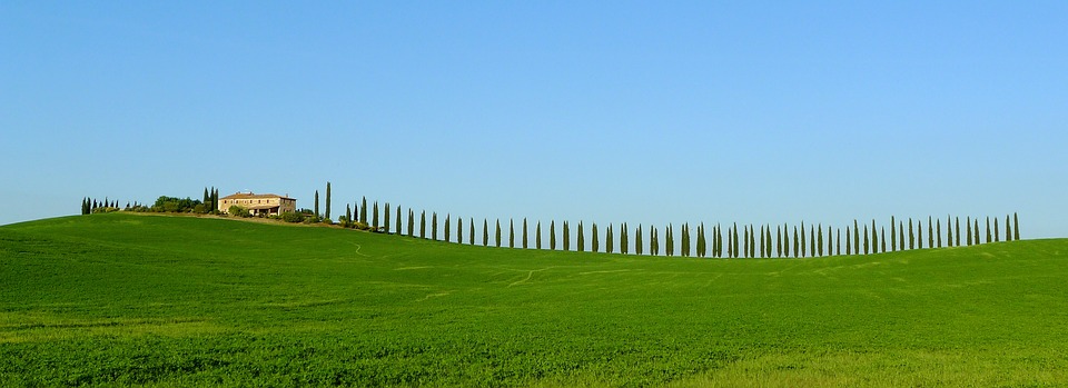 toscana-2286630_960_720.jpg