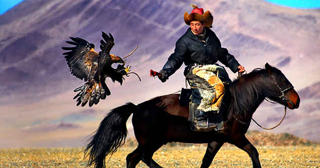 eagle-hunter111.jpg