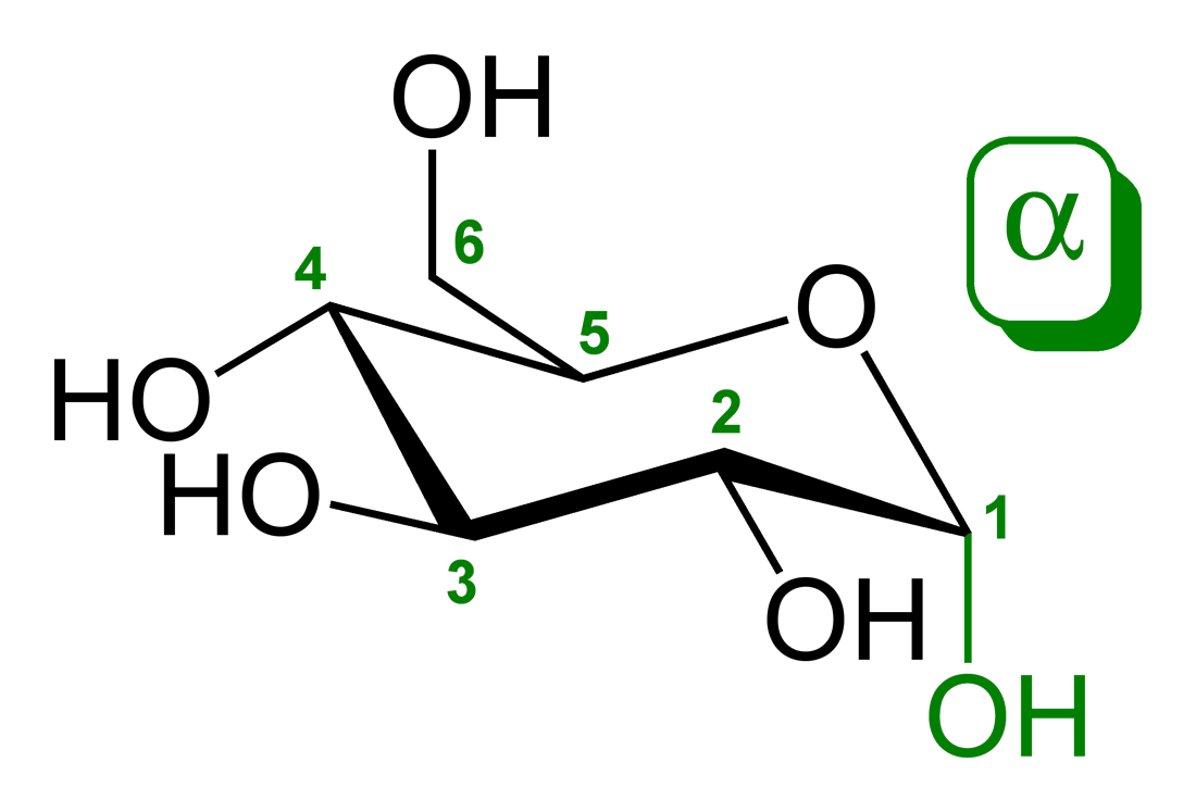 Glucose and positions.png