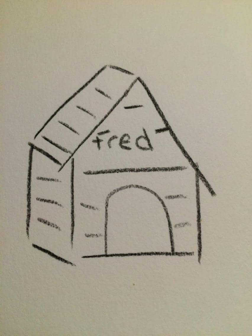 image.jpeg
