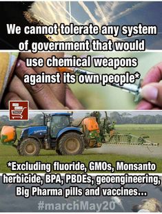 monsanto.jpg