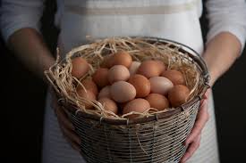 eggggsssss.jpg