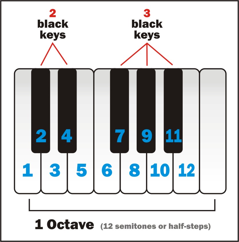 Octave-12-semitones.jpg