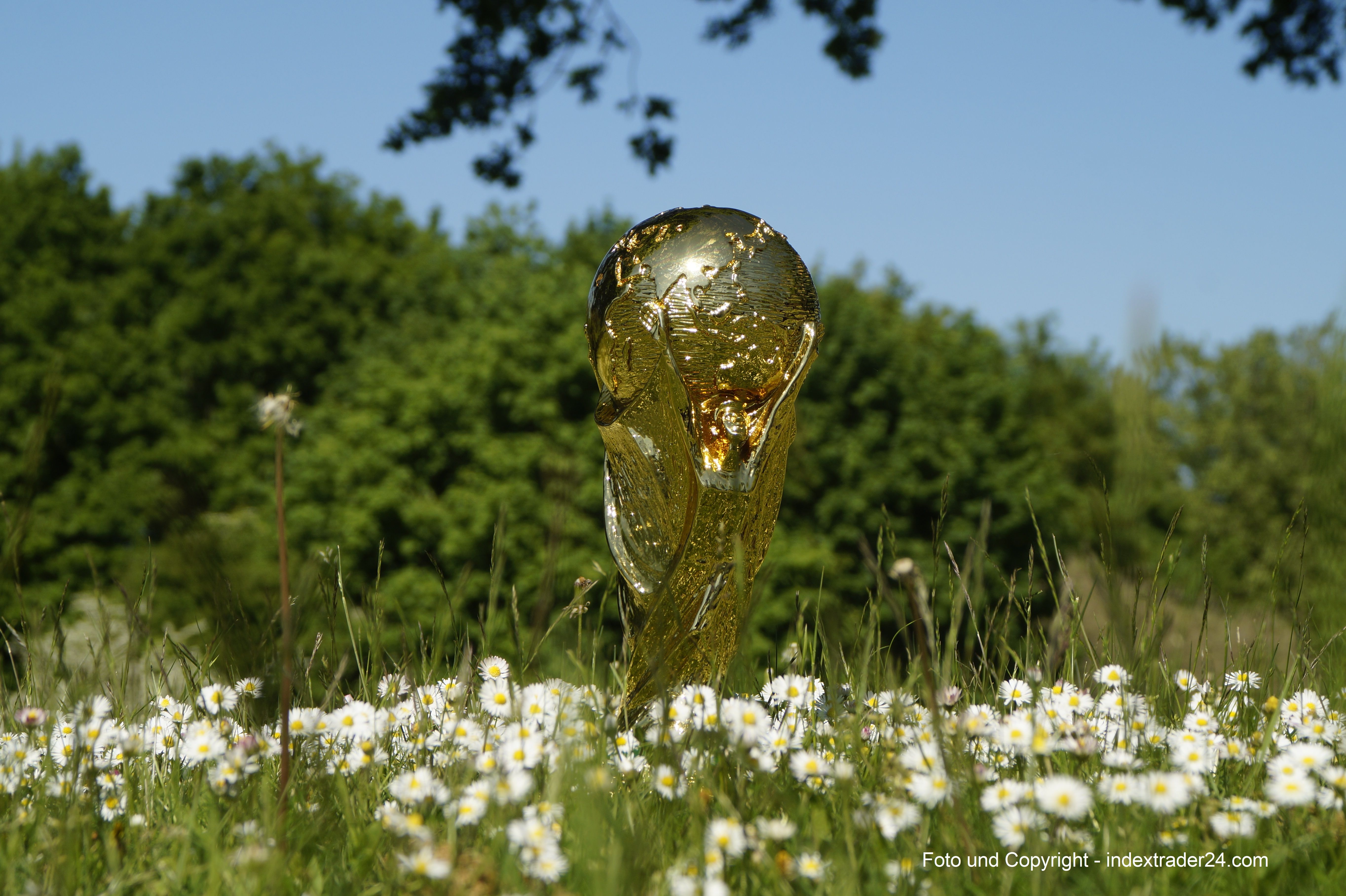 WM Pokal Gänseblümchen.jpg