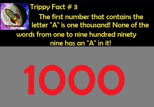 tf3.jpg
