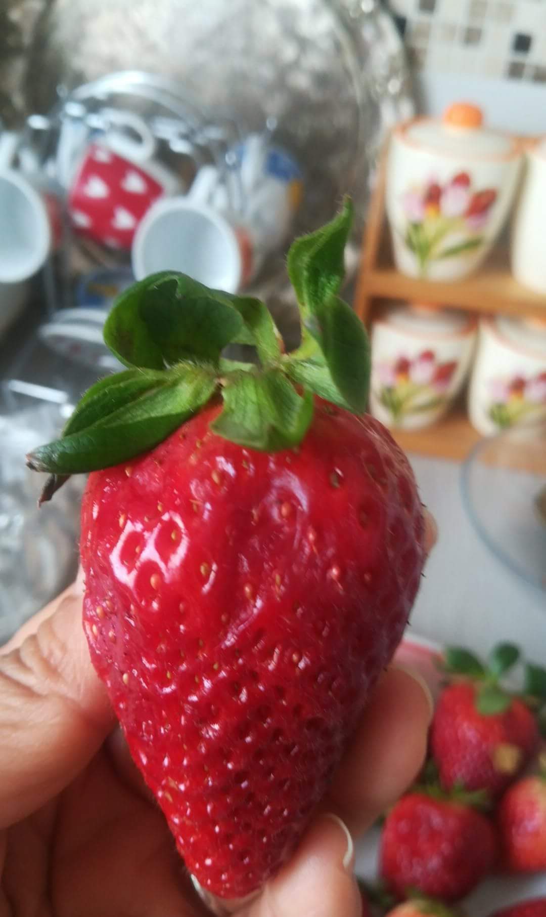 strawberry  (2).jpeg