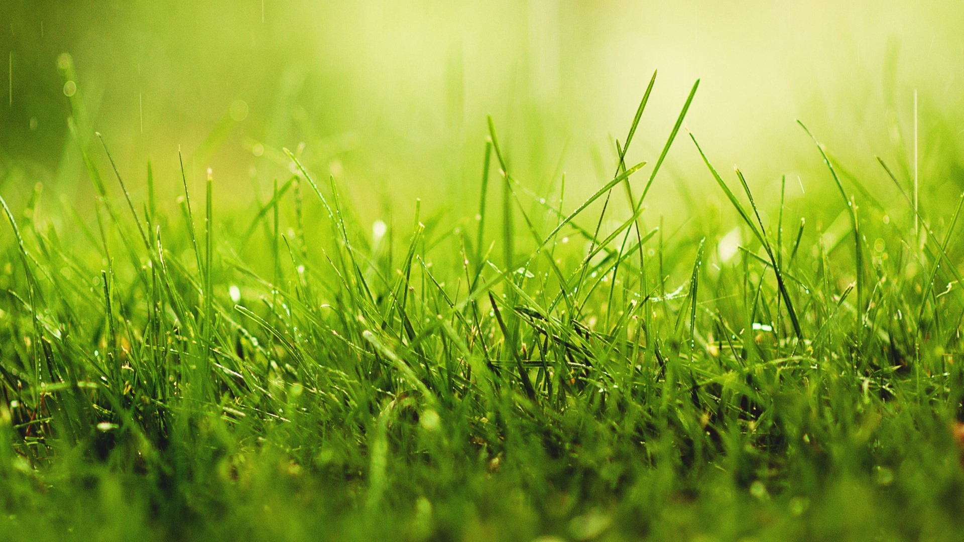 《飞鸟与夏花》每天一首自译飞鸟集（91/325） - Translate a poem form Stray Birds everyday