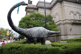 carnegie museum of natural history.jpg