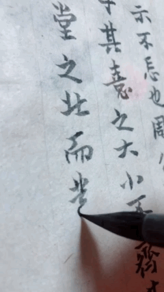 D78C3892-3270-4B8D-A545-871EFEE9A45D.gif