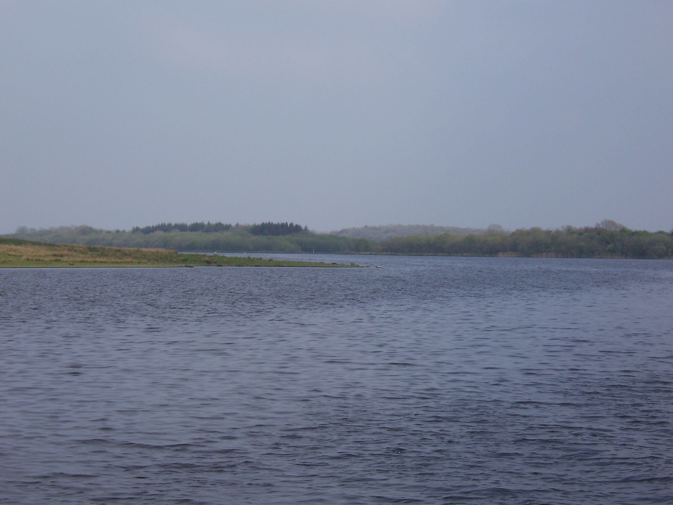 100_0035.JPG