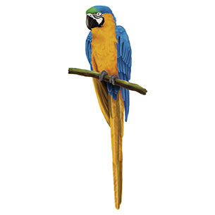 GUACAMAYA AZUL.jpg