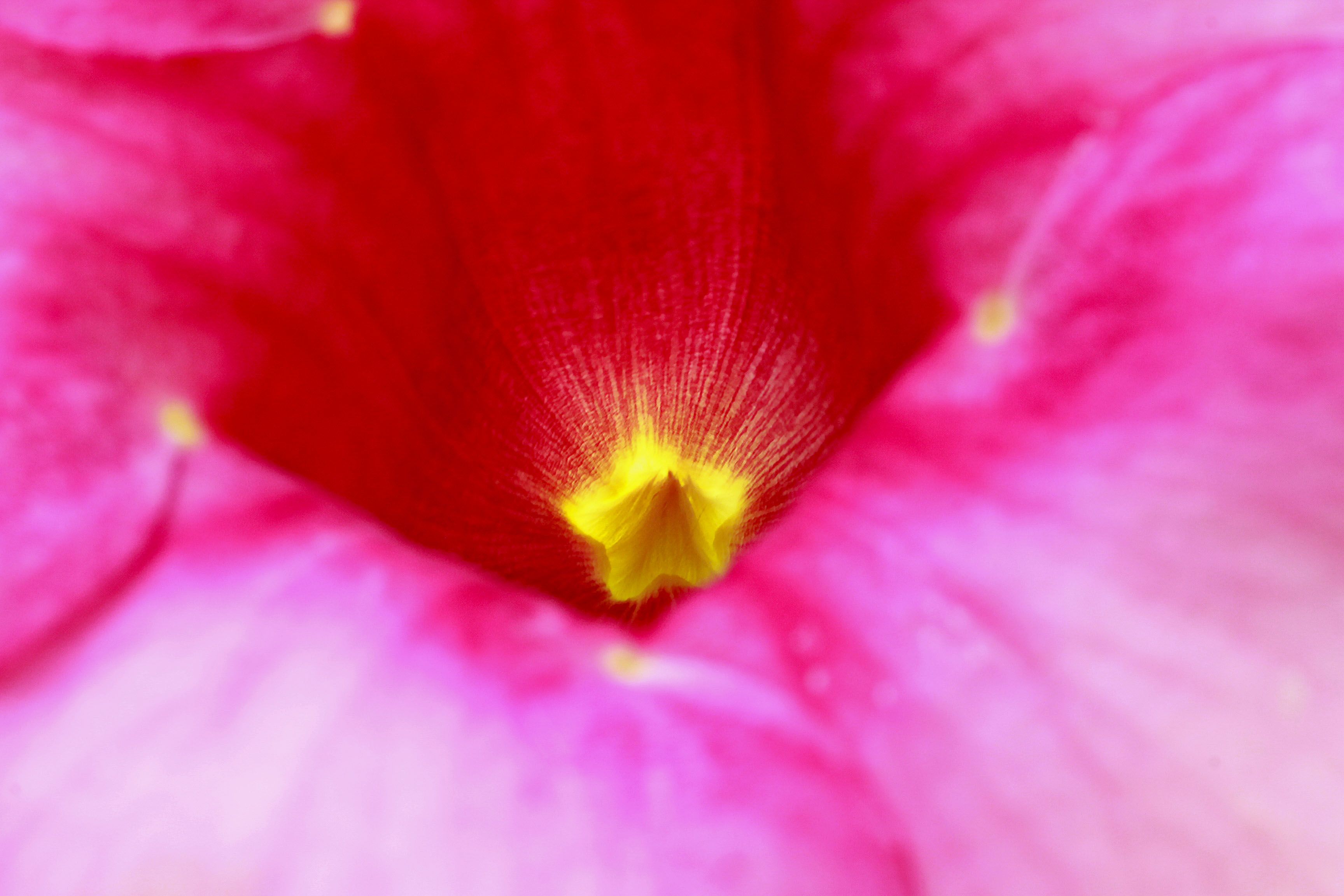 IMG_6513.JPG