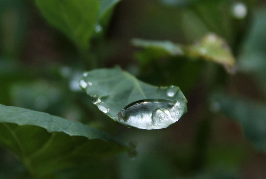 water8.jpg