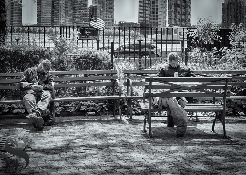 Wednesday walk Peter Detmold Park (2 of 5).jpg