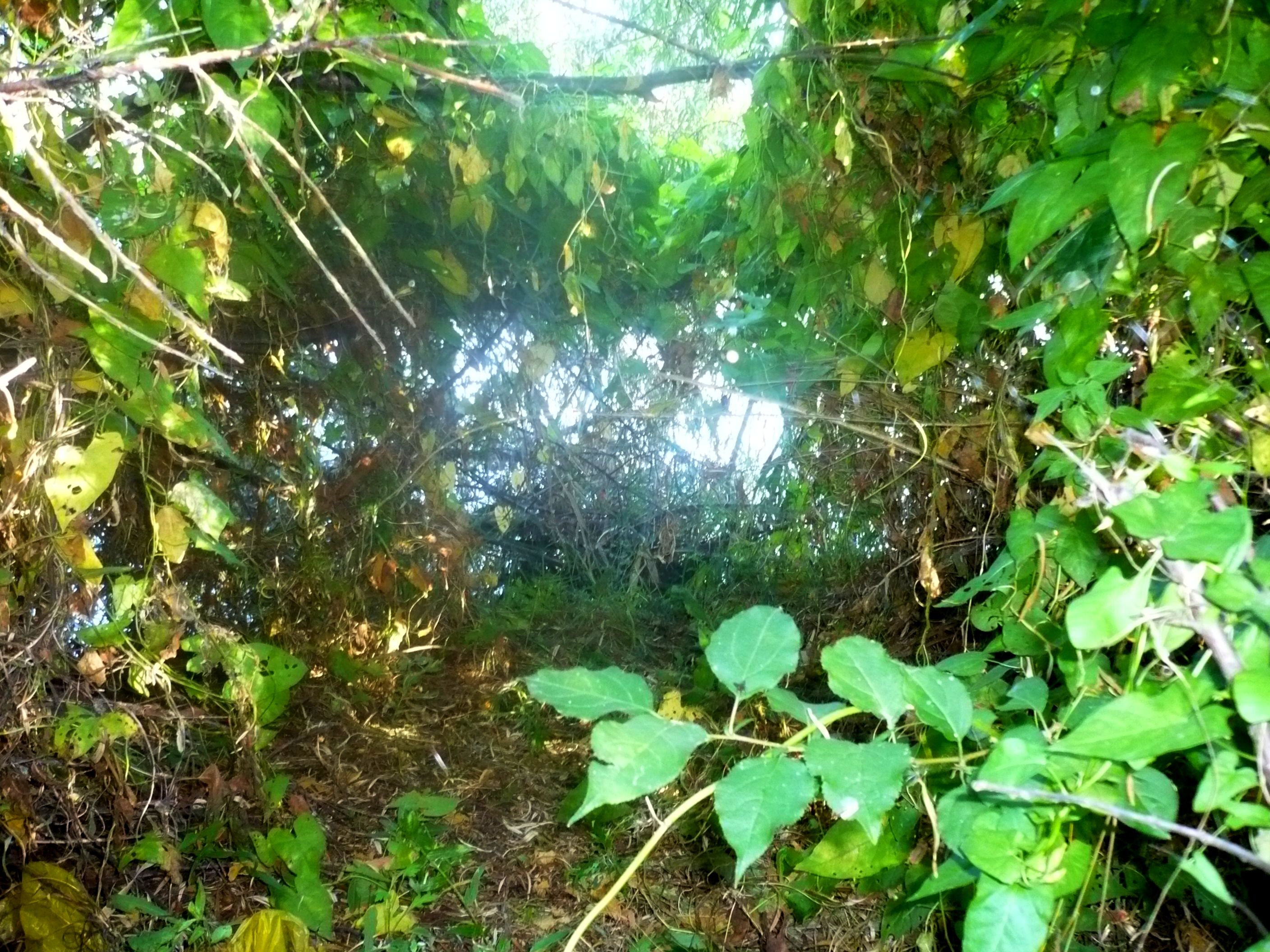 P1020380.JPG