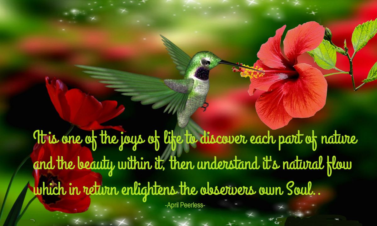 joys-of-nature.jpg