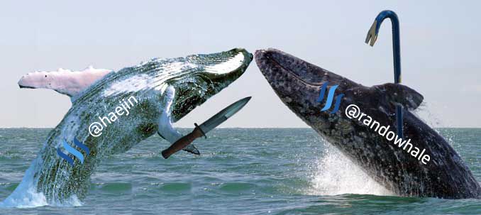 Whale Wars 3.jpg