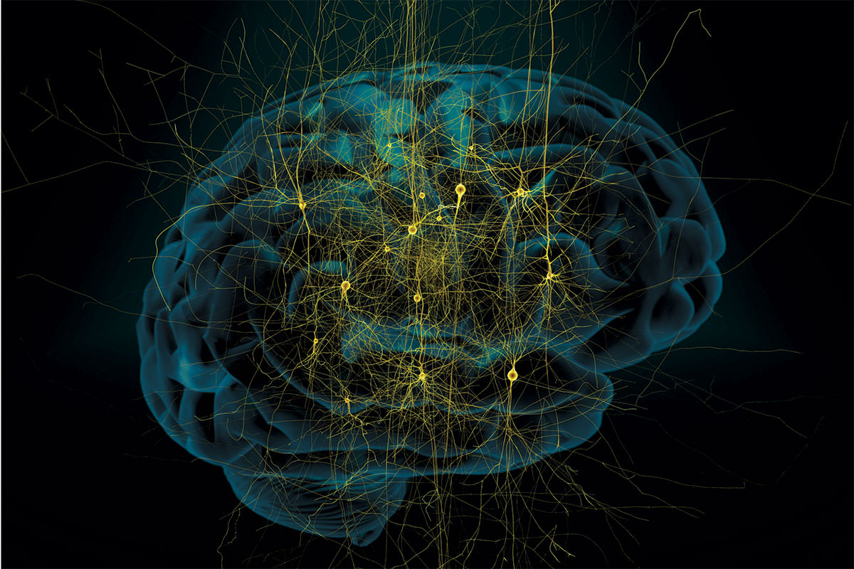 How To Upgrade Your Brain Software1.jpg