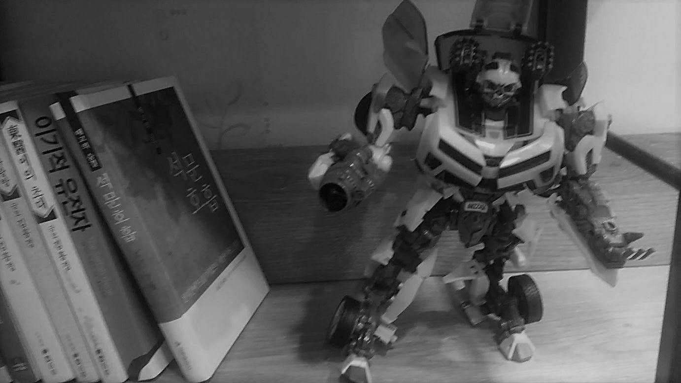 robot black and white.jpg