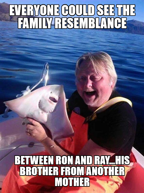Meme Challenge 33 Entry 1 Family Reunion Steemit