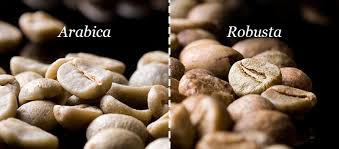 arabica o robusta.jpg