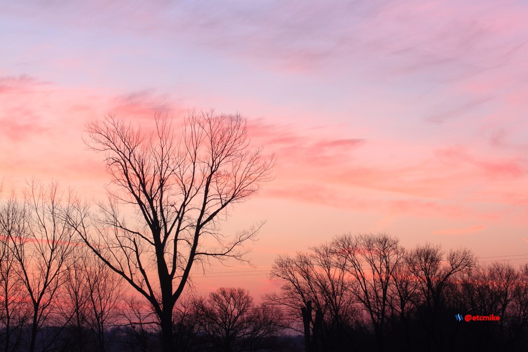pink sunrise dawn SR15-02.JPG
