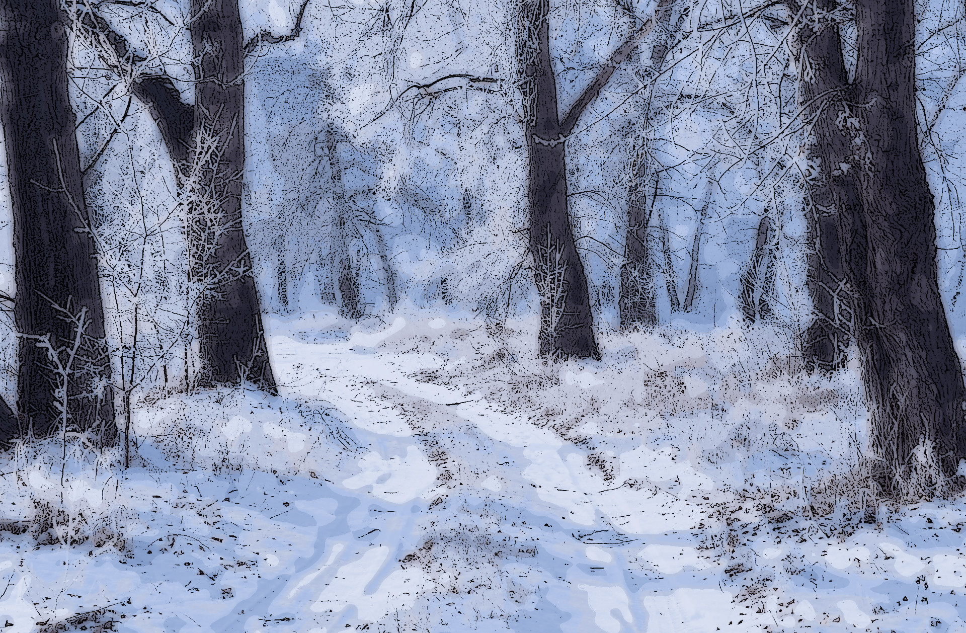 winters-path-home.jpg