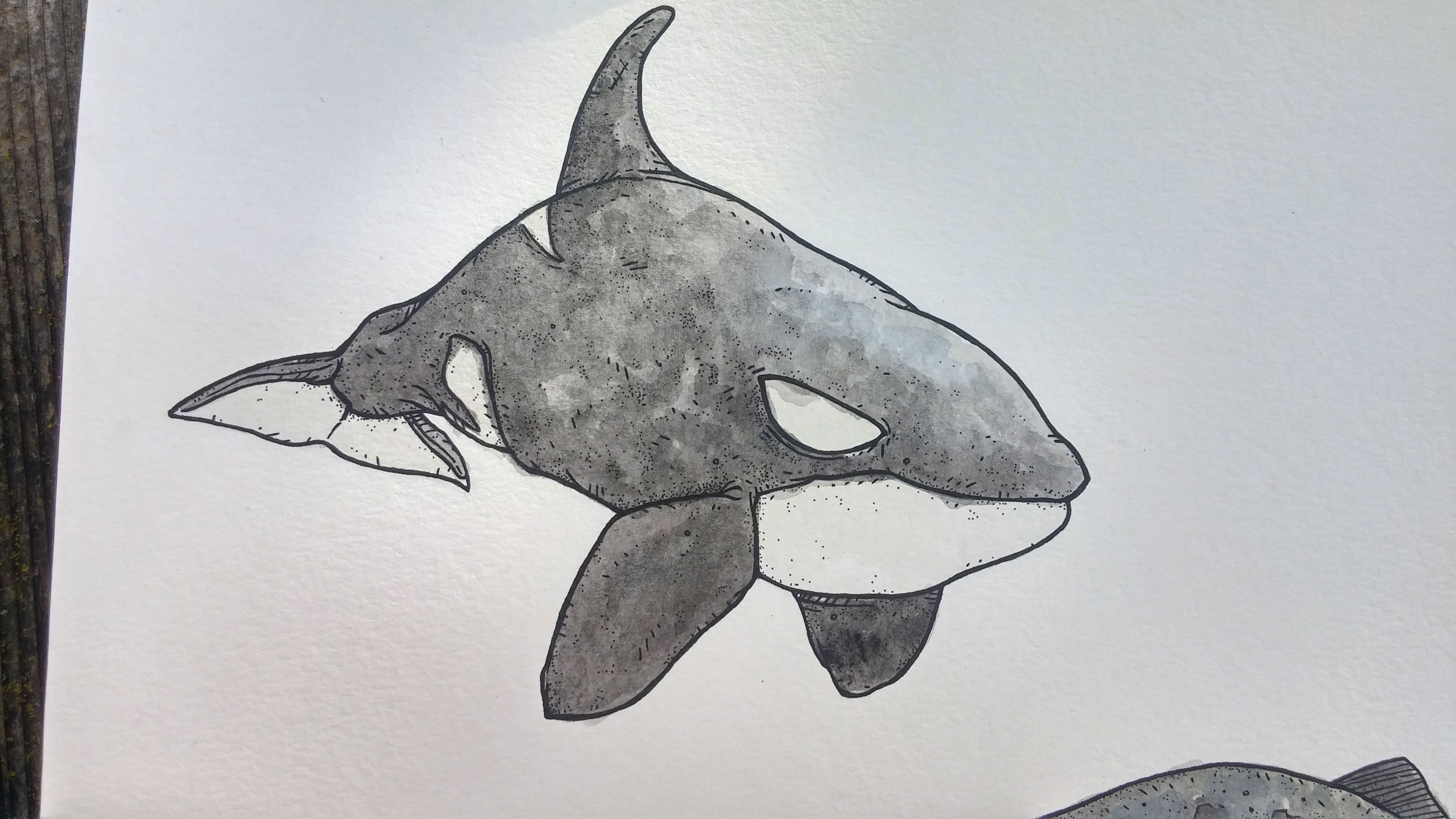 orca bass4.jpg