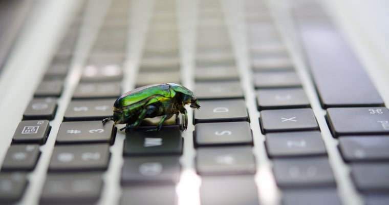 Computer-bug-760x400.jpg