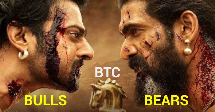 bulls vs bears.jpg